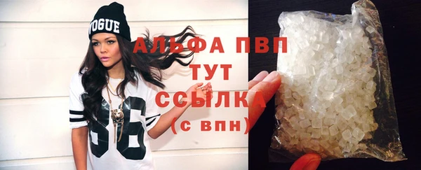 индика Абаза