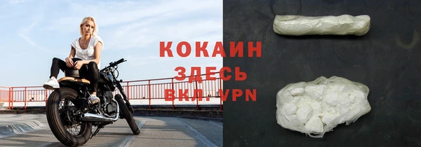 индика Абаза