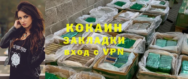 индика Абаза