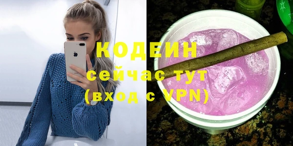 индика Абаза