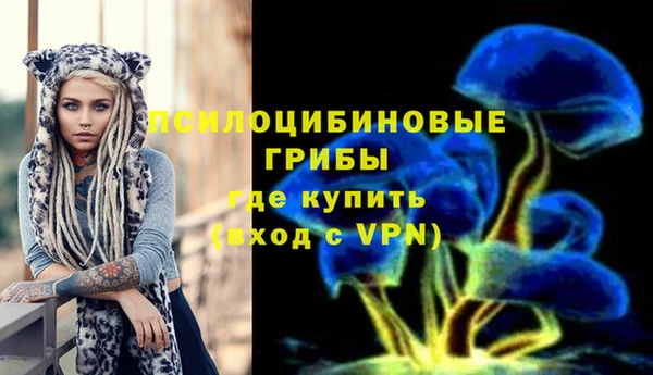 ГАЛЛЮЦИНОГЕННЫЕ ГРИБЫ Абинск
