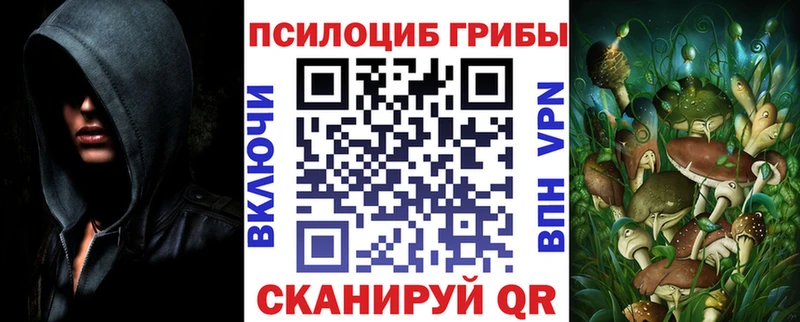 Псилоцибиновые грибы Cubensis как найти наркотики Белая Калитва